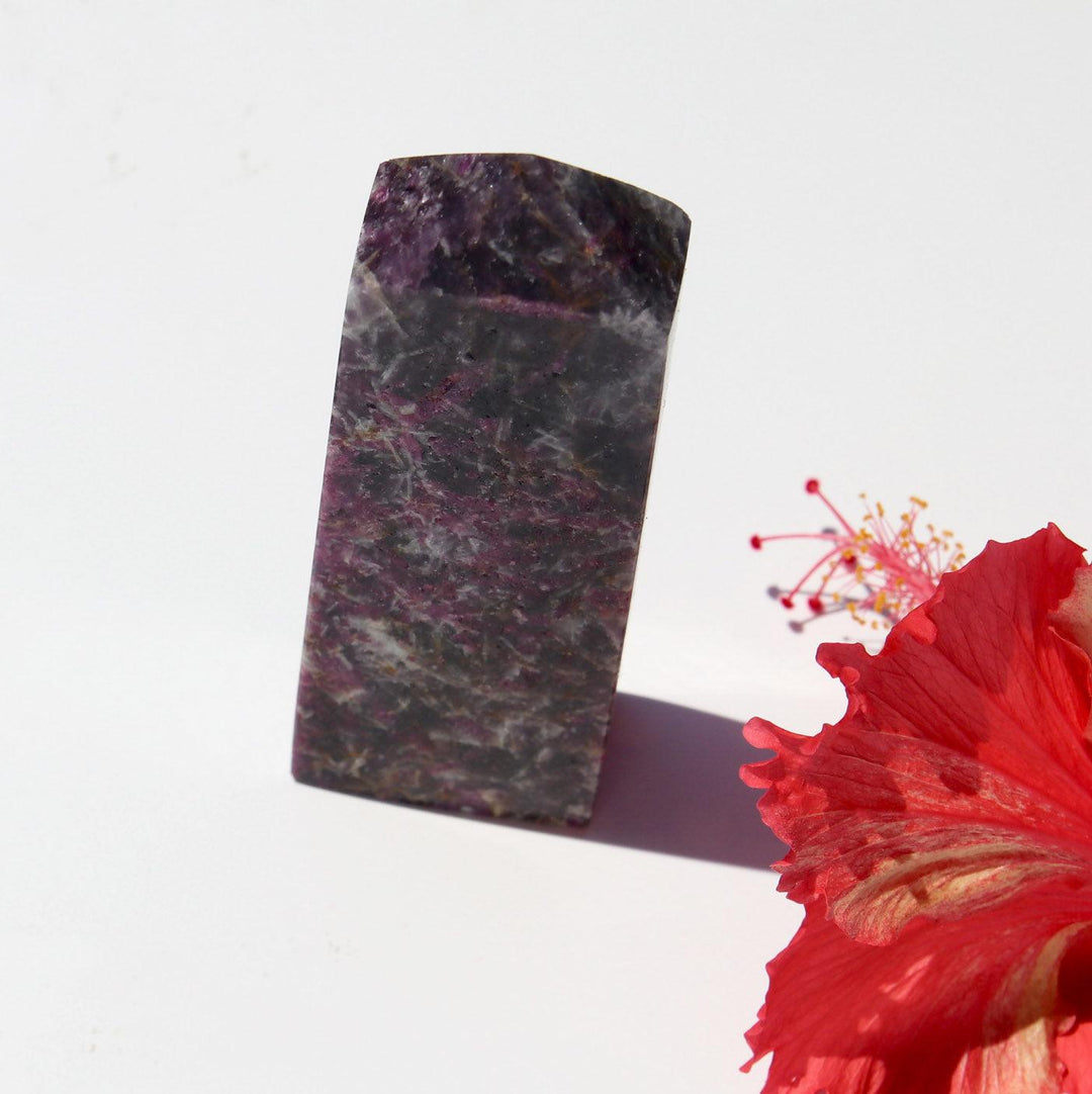 Pegmatite: Unicorn Stone (偉晶岩) | Mini Tower - innerblissdesigns