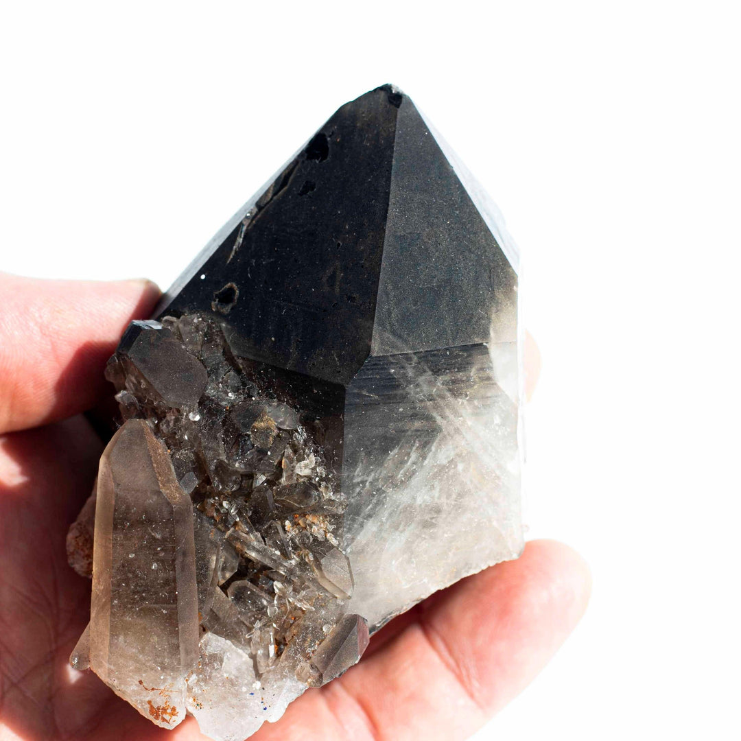 Smoky Quartz (煙水晶) | Large Cluster / Points | The Grounding Stone