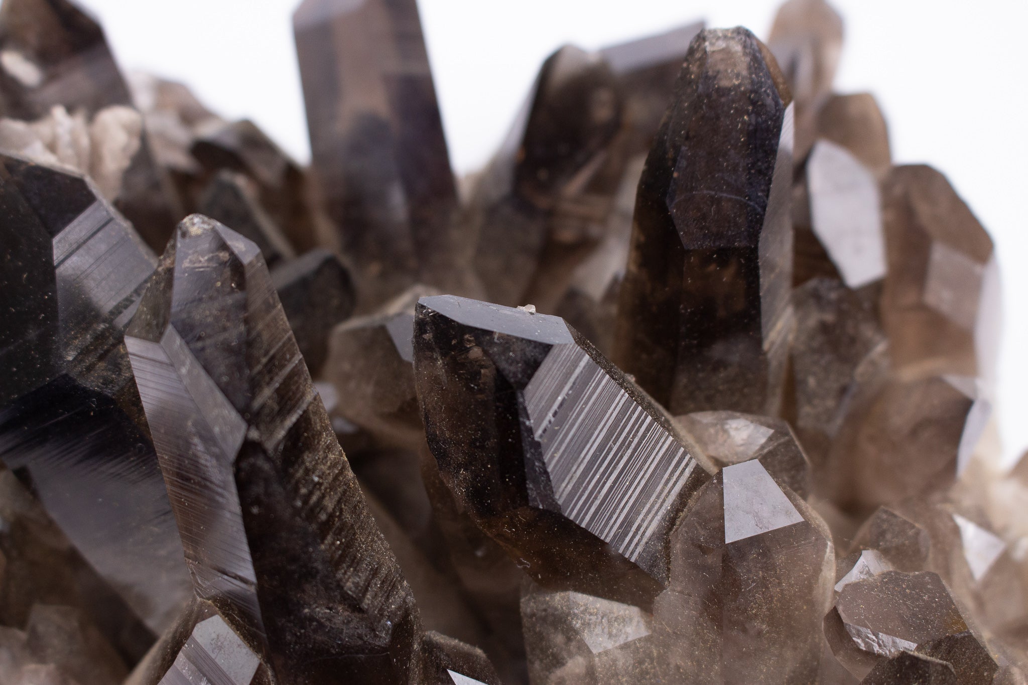 Smoky Quartz (煙水晶)