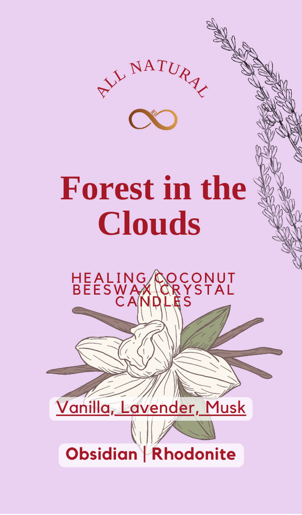 Forest In The Clouds Canle | Inner Bliss