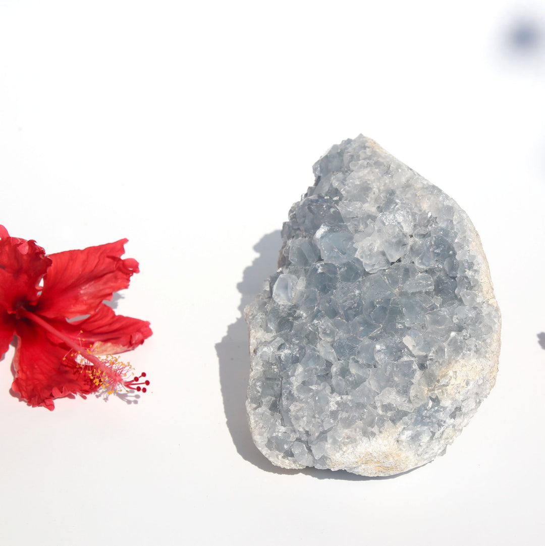 Celestite | Natrual Healing Crystal Raw Egg Shapes | The Mystical Stone | Choose Preferred Size