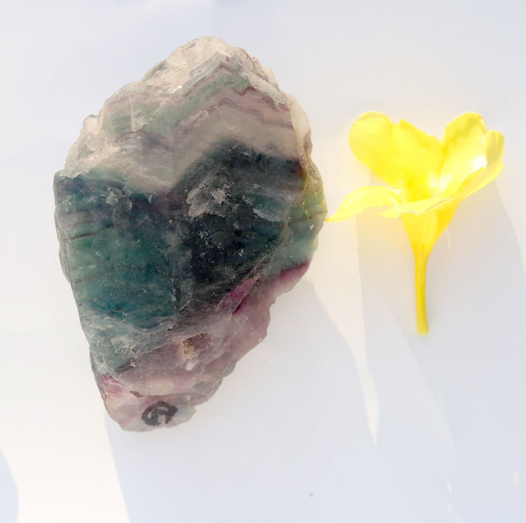 Fluorite (Rainbow) | Free Form | The Stone Of Positivity (萤石)