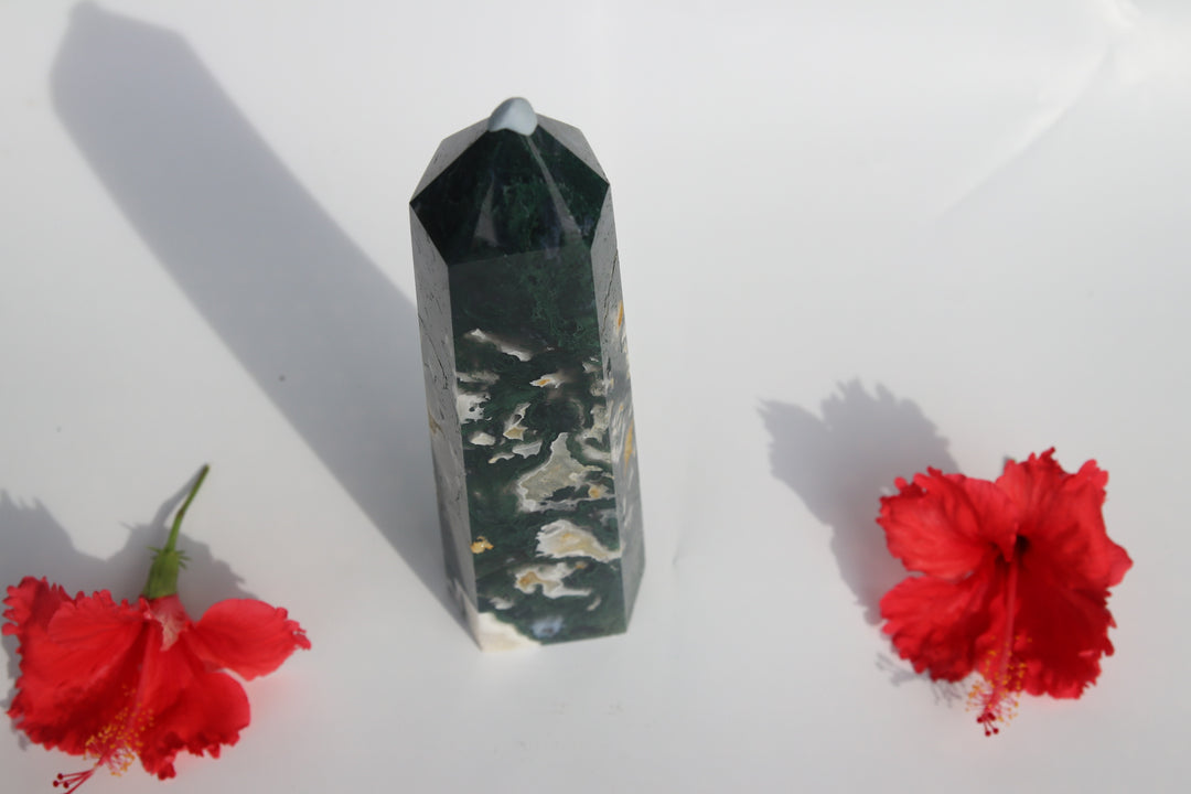 Moss Agate | Darker Green Druzy Healing Crystal Obelisk Tower | The Stone Of Abundance | Choose Preferred Size