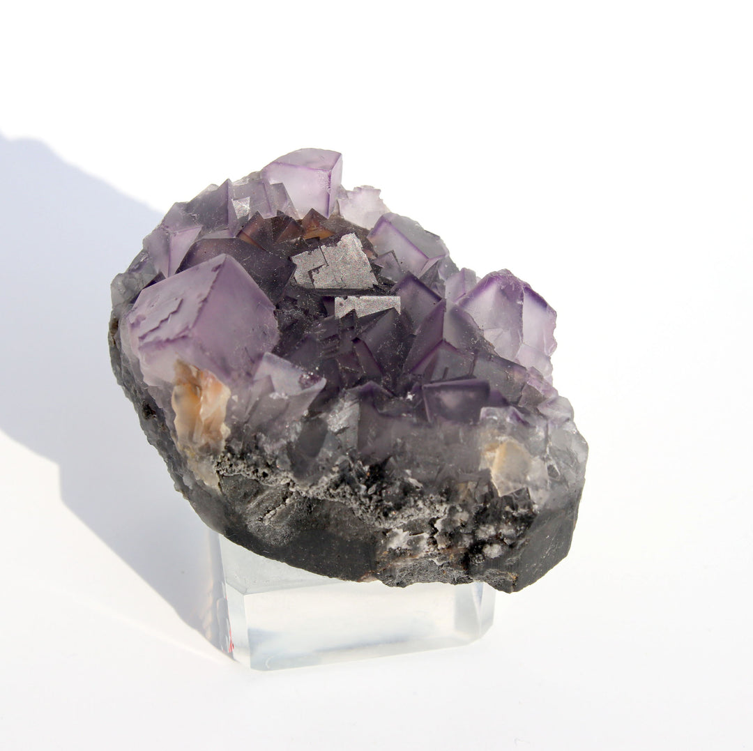 Fluorite (Purple) | Free Form | The Stone Of Positivity (萤石)